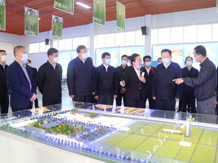 省委副書(shū)記、省長(zhǎng)周乃翔到新綠洲公司調(diào)研指導(dǎo)工作